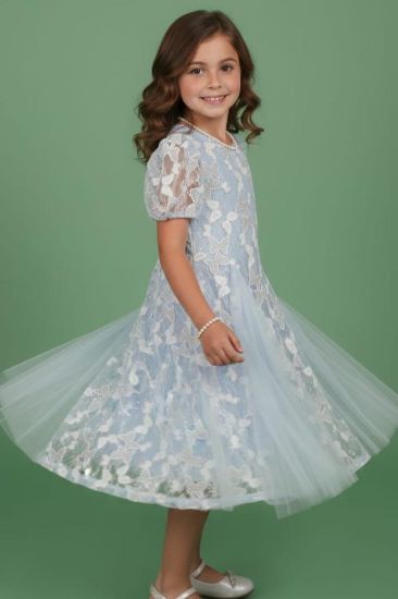 صورة فستان أزرق أنيق مزين بالتل على الفستان